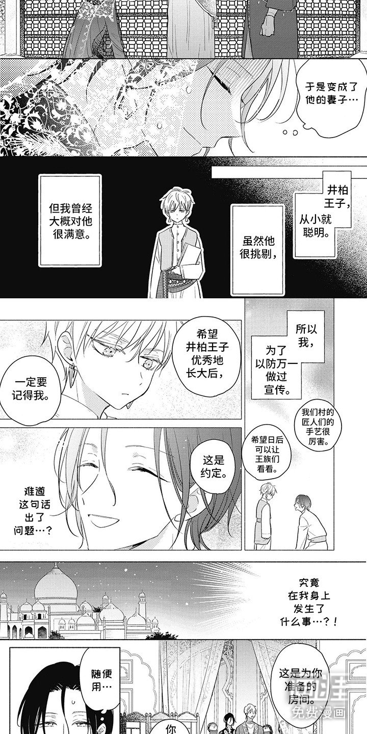 第2章：他的妻子