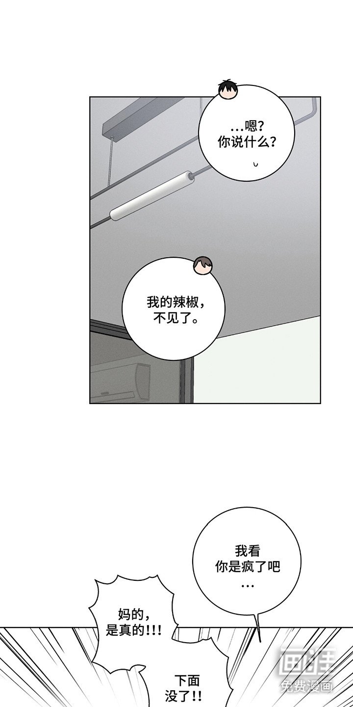 第4章：消失