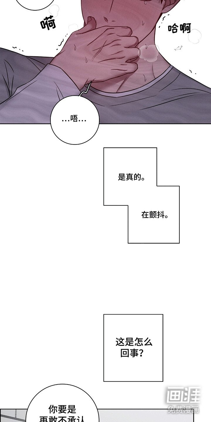 第5章：坦白