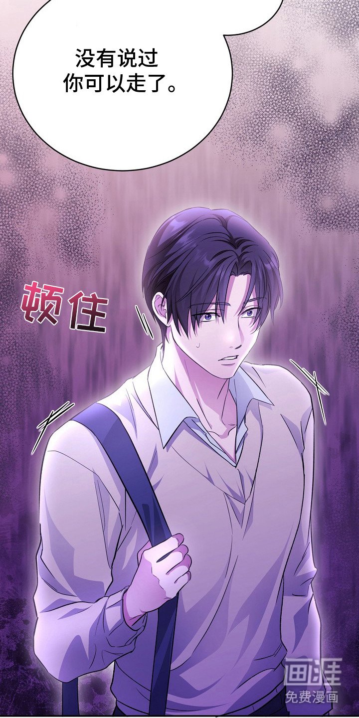 第3章：再次见面