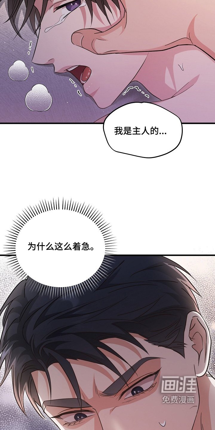 第37章：为什么问