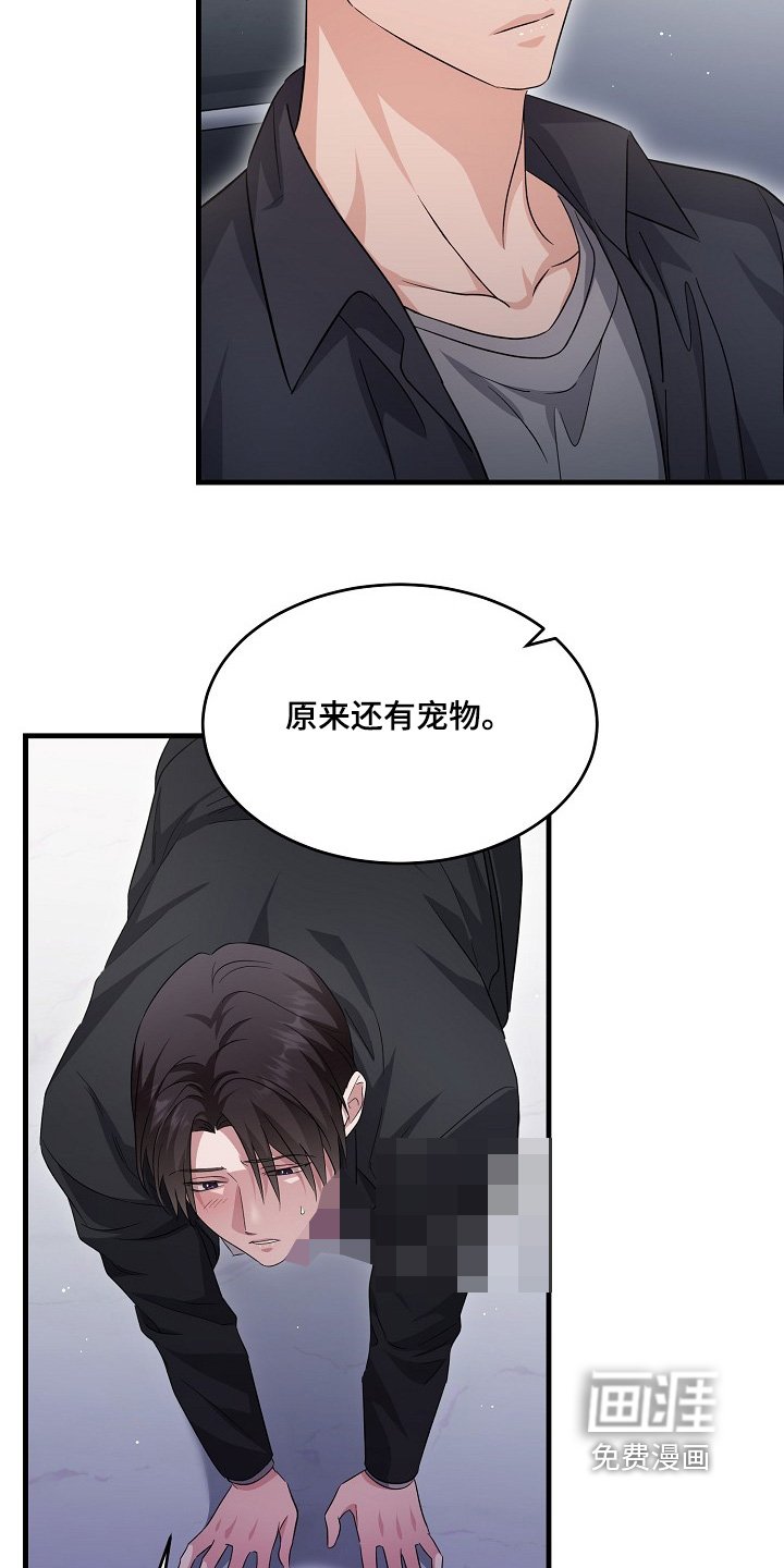 第44章：不是普通店