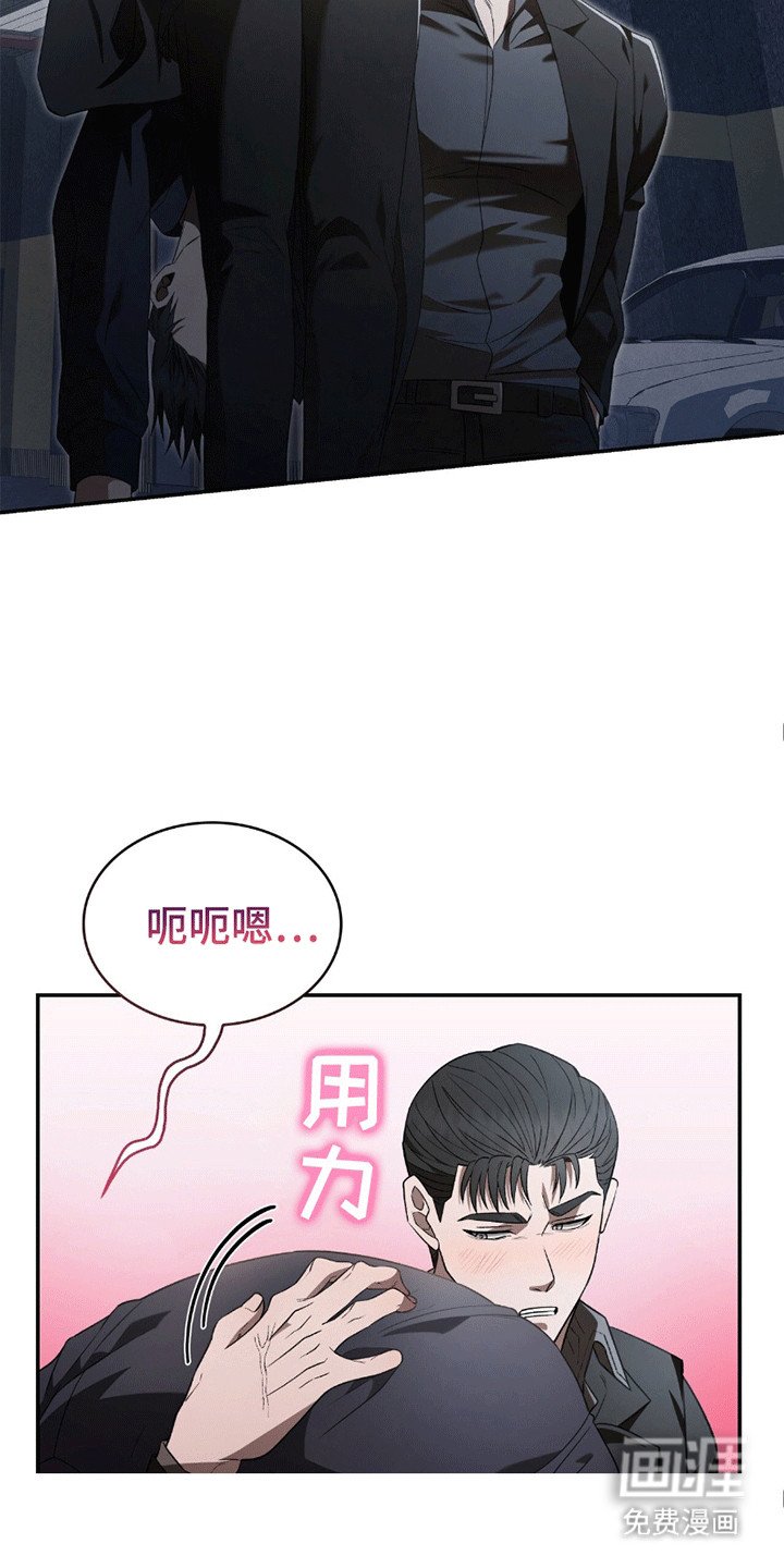 第13章：带回家