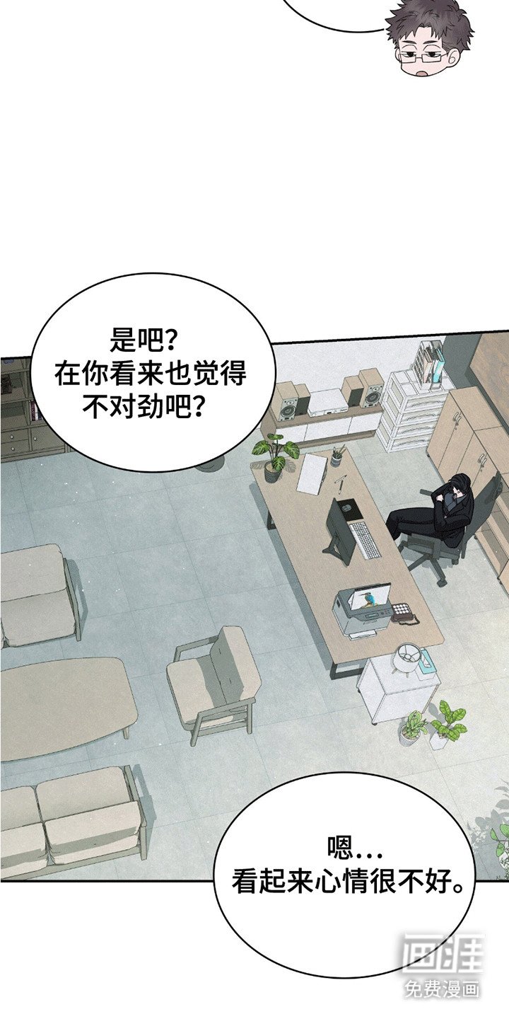 第21章：感情问题