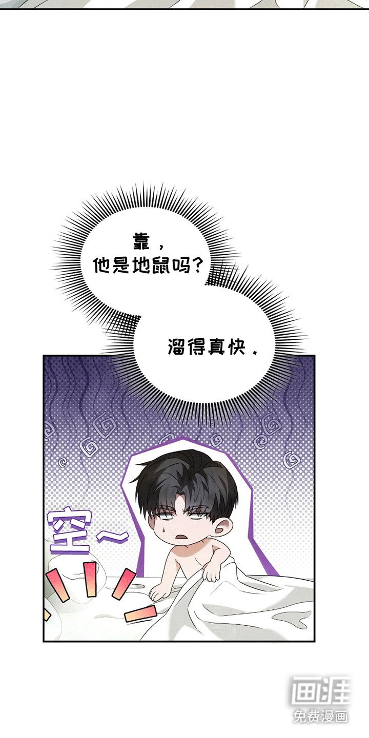 第28章：想了解他