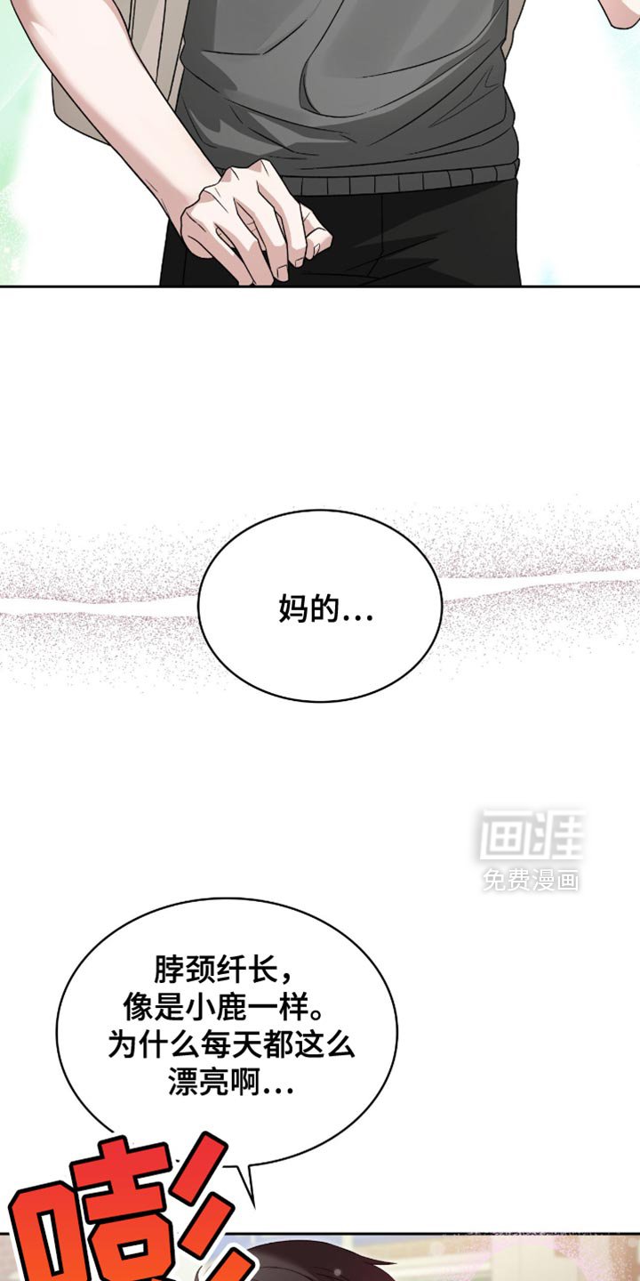 第41章：漂亮