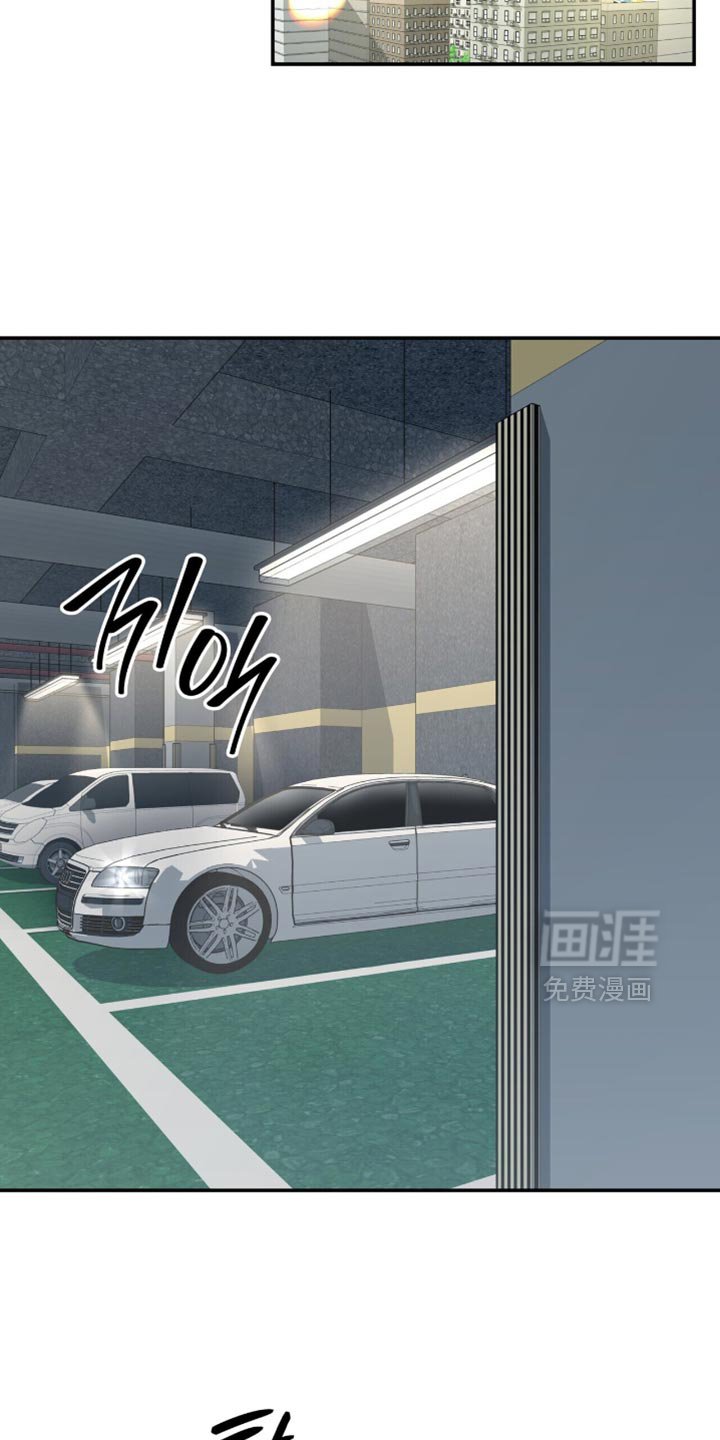 第66章：鱼饵