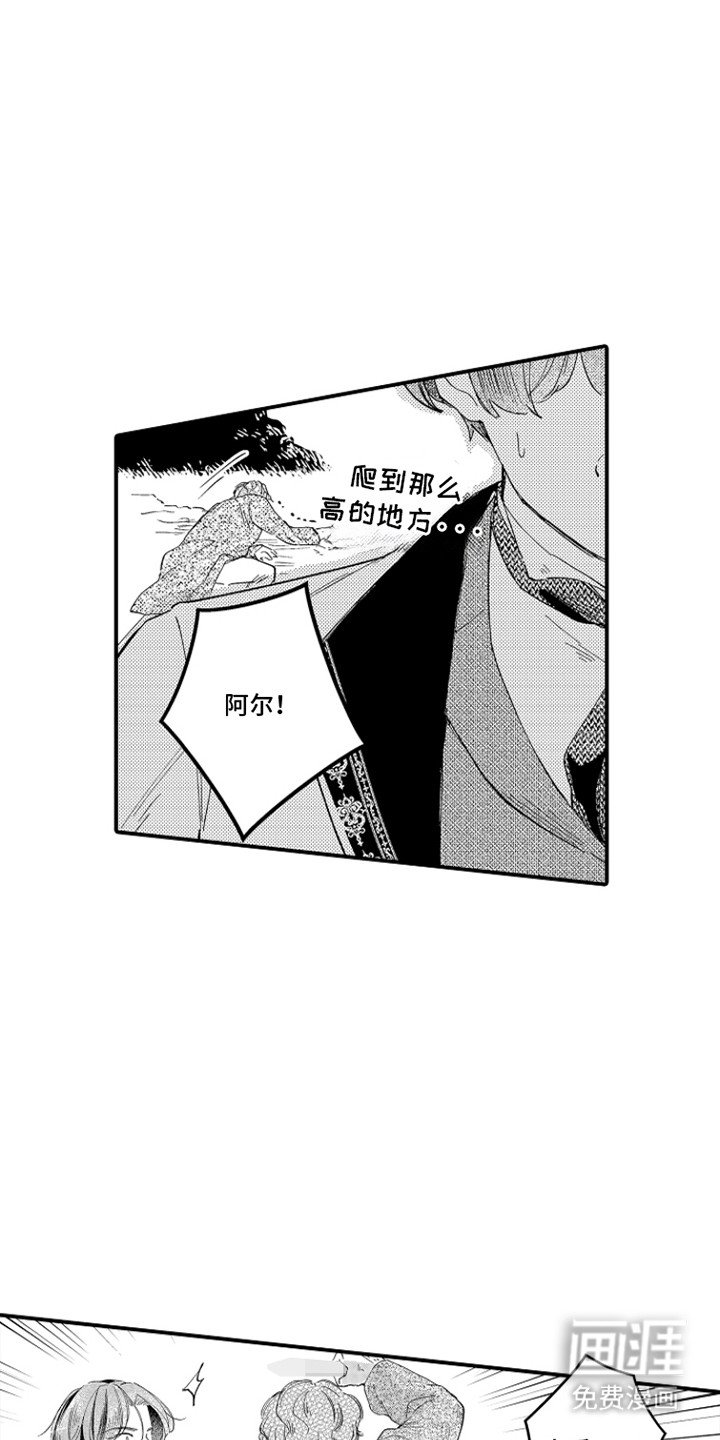 第11章：受伤