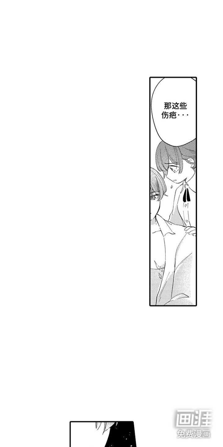 第12章：伤疤