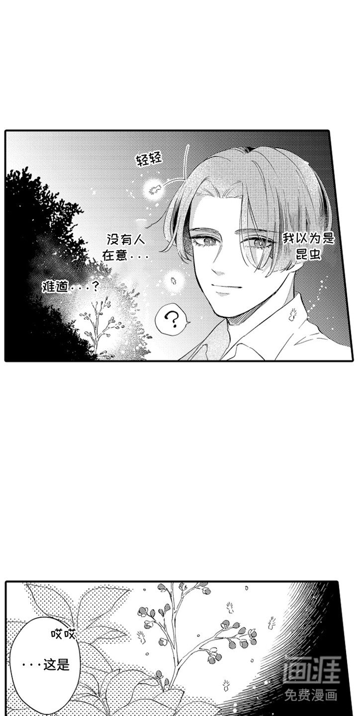 第14章：小精灵