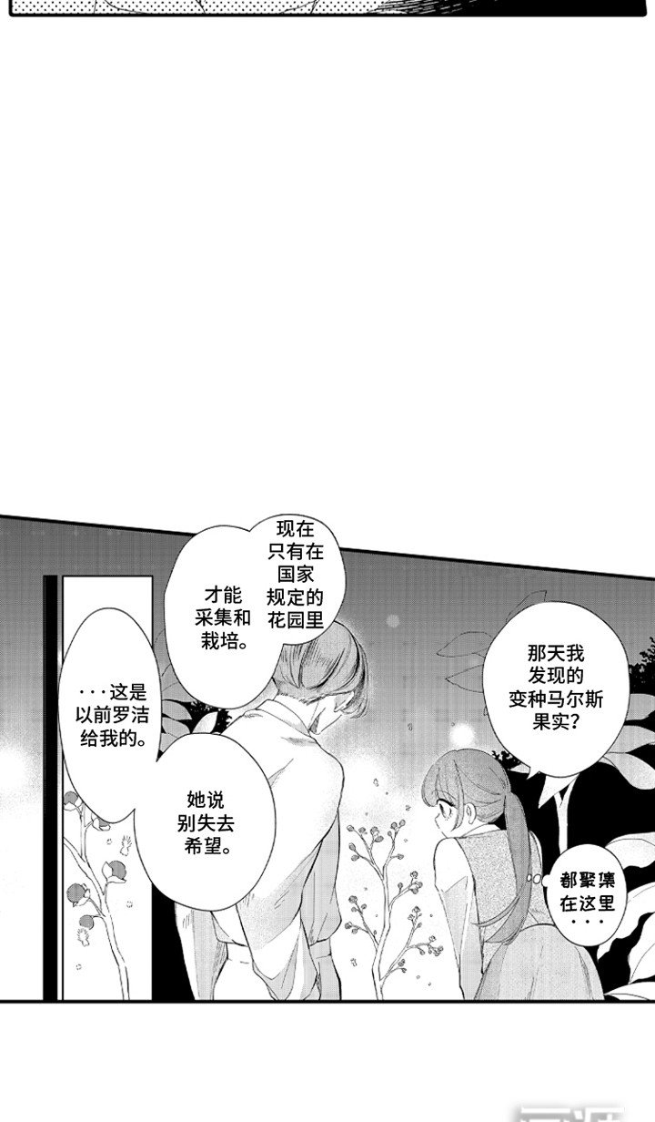 第14章：小精灵