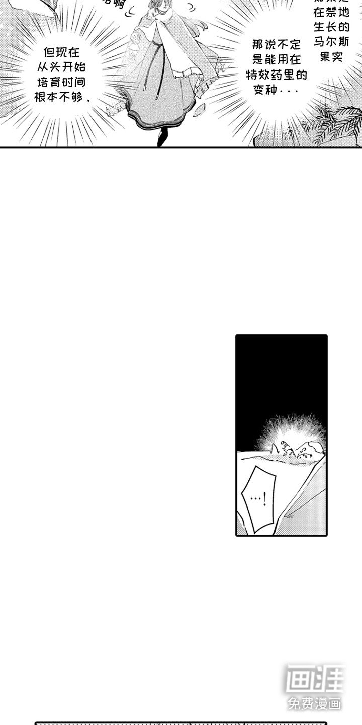 第3章：悲剧