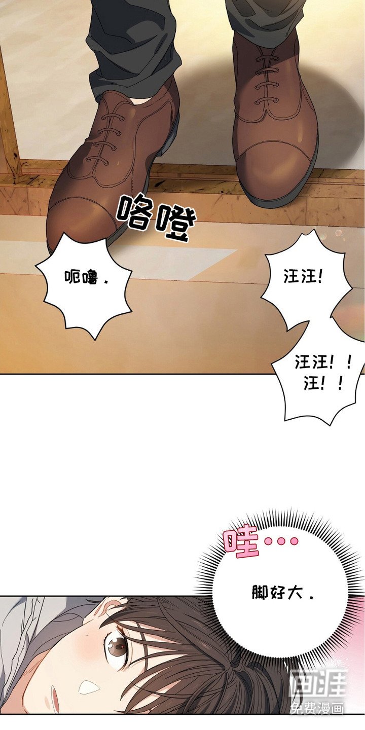 第1章：不速之客