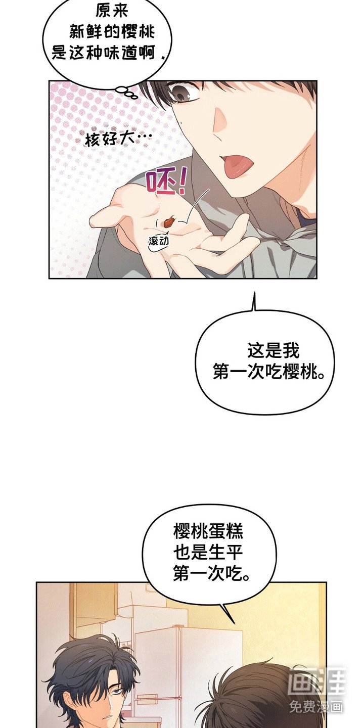 第12章：樱桃蛋糕
