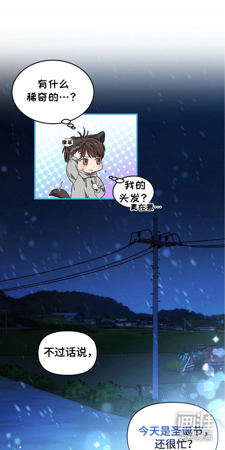 第13章：直言不讳