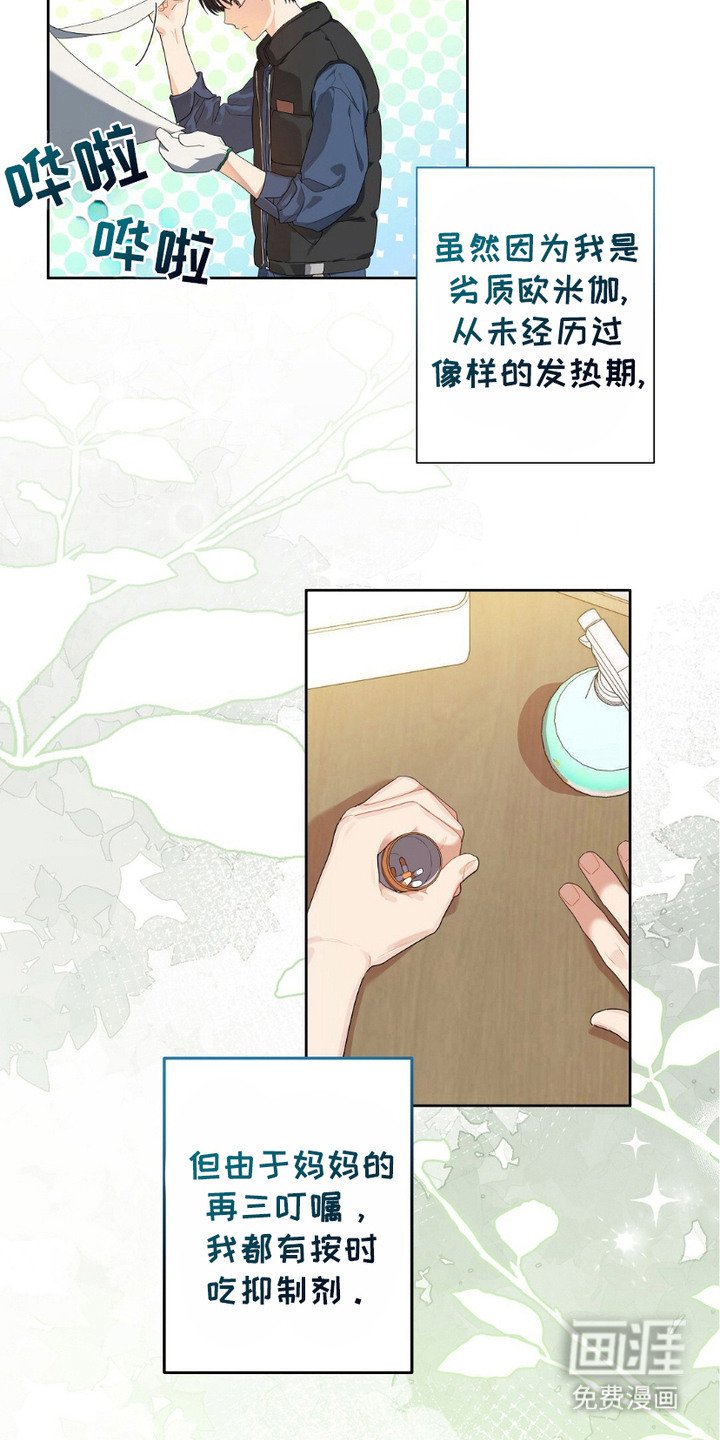 第15章：大雪天