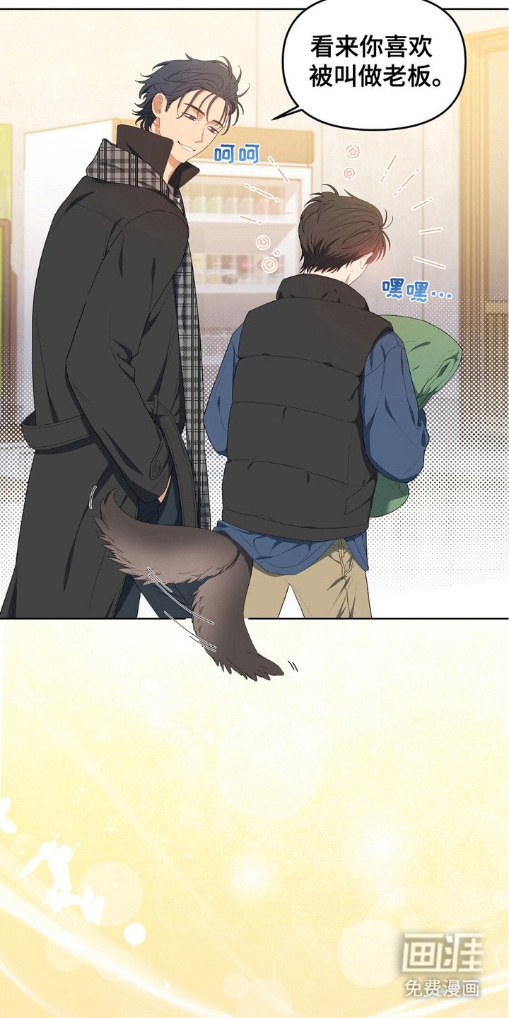 第17章：收留