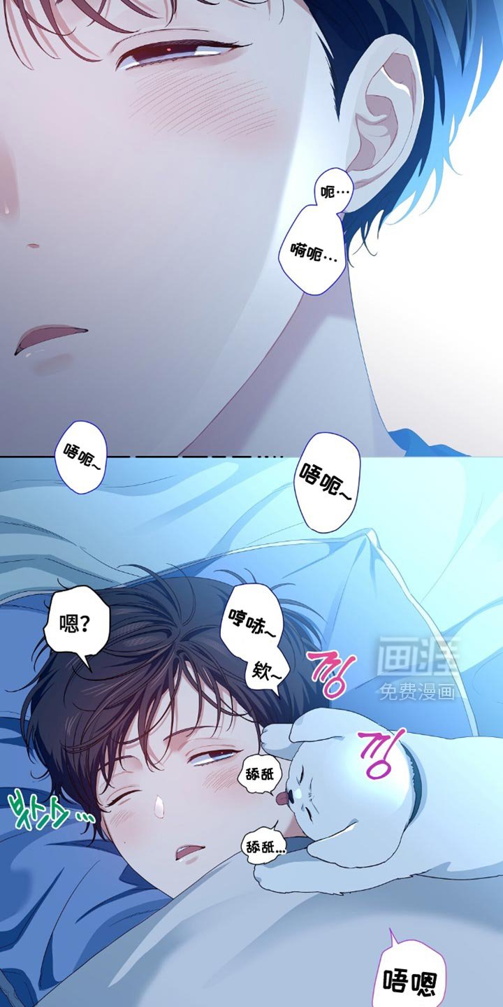 第51章：没有见过的爸爸