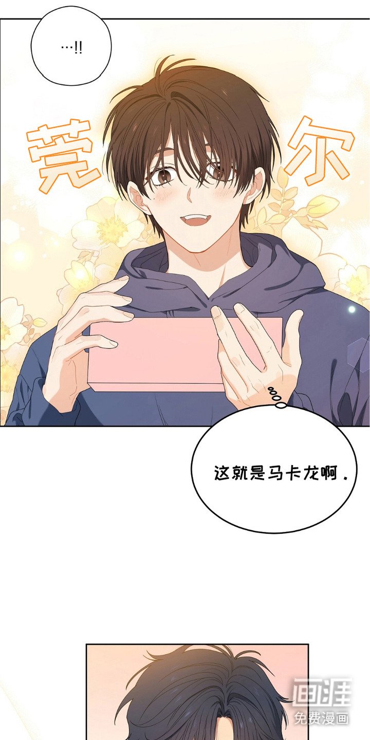 第8章：马卡龙