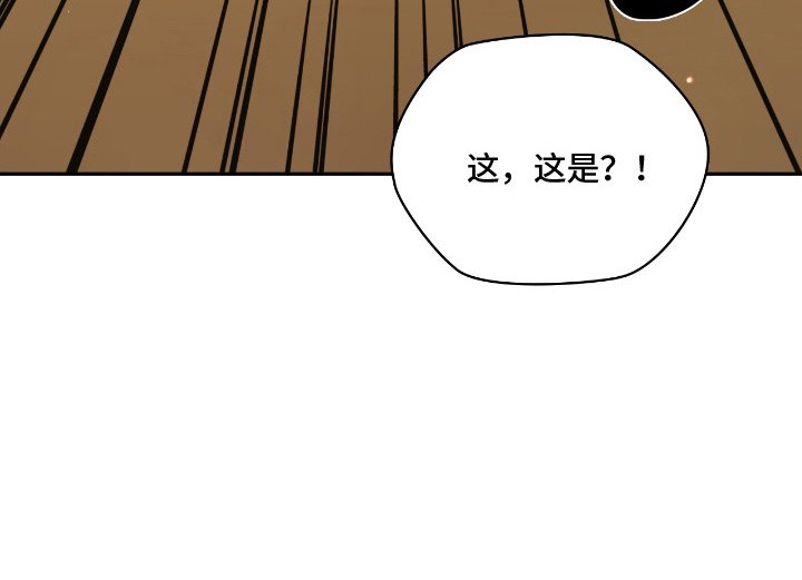 第11章：身无分文