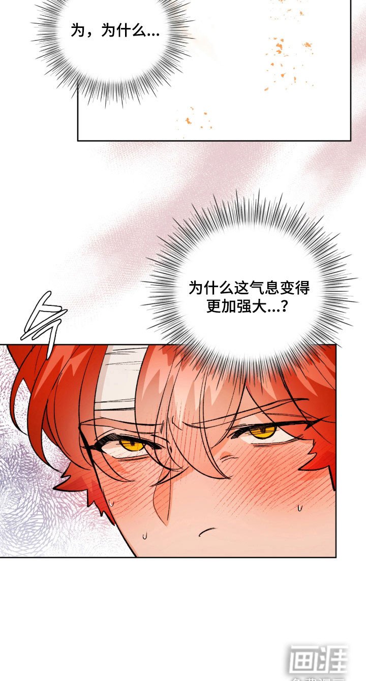 第13章：摆脱不了吗