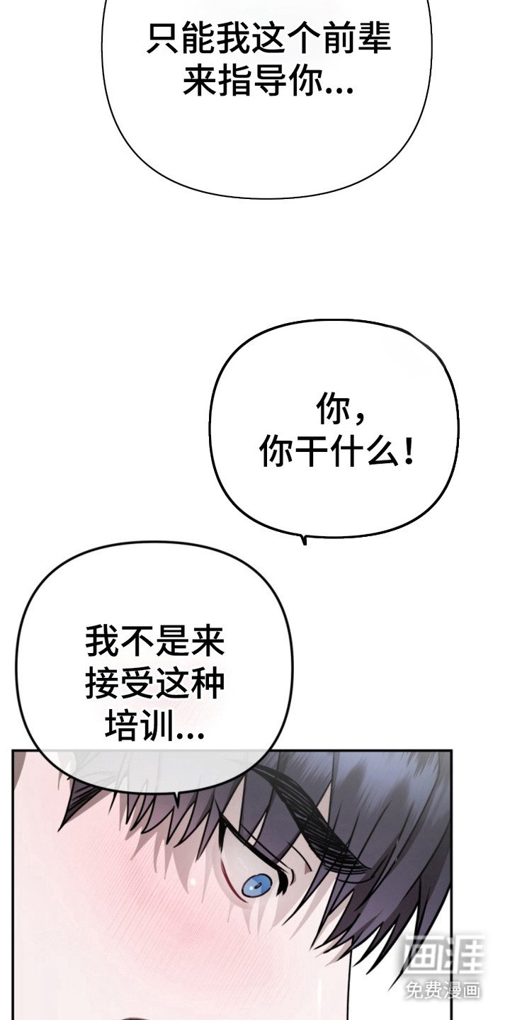 第4章：指导