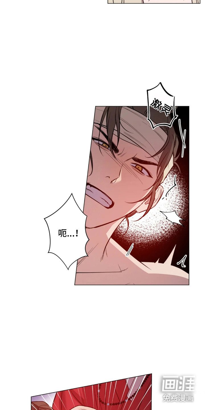 第2章：健壮