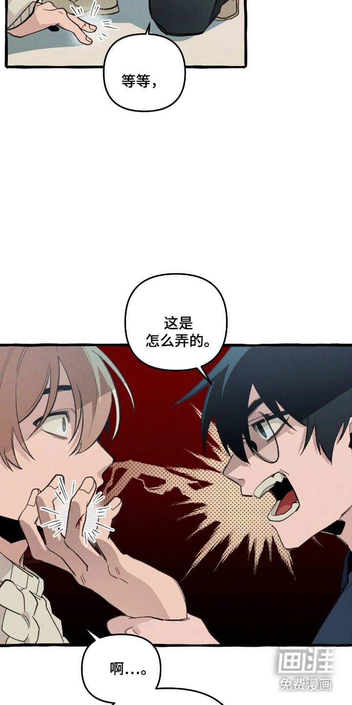 第26章：寻找