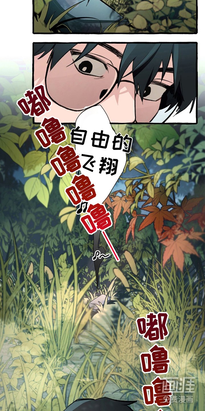第3章：发现手机