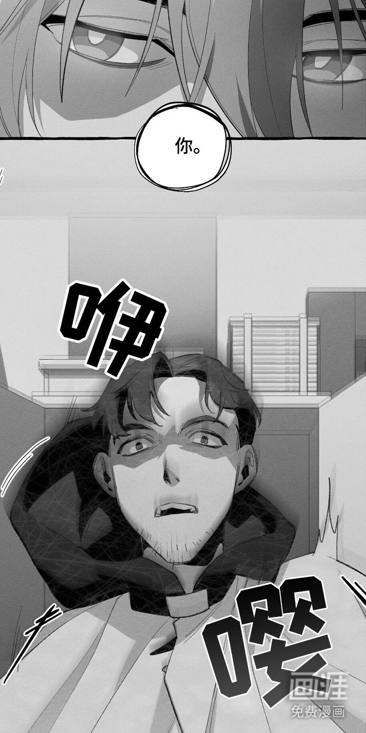 第31章：异能组织