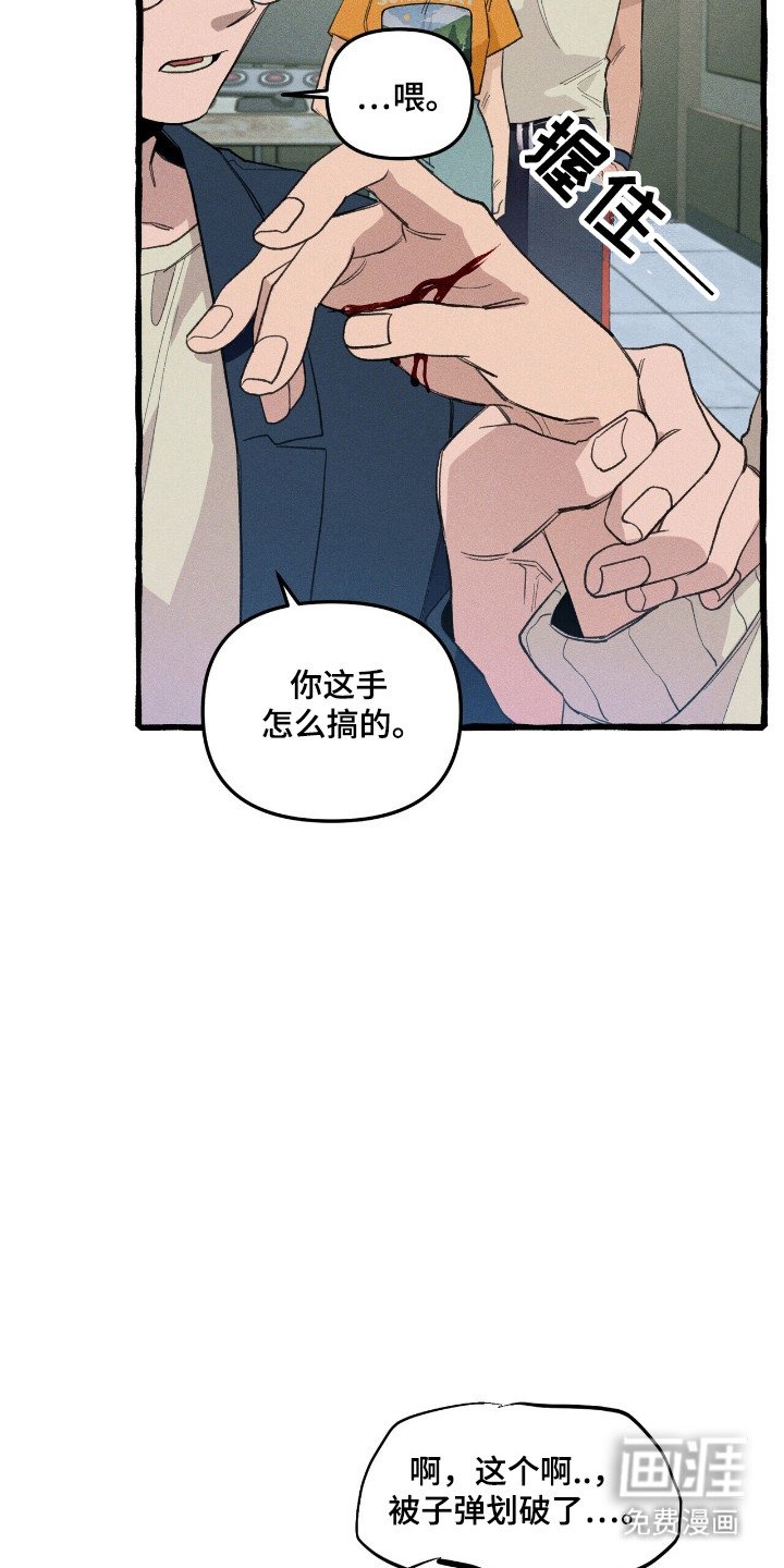 第32章：卡片