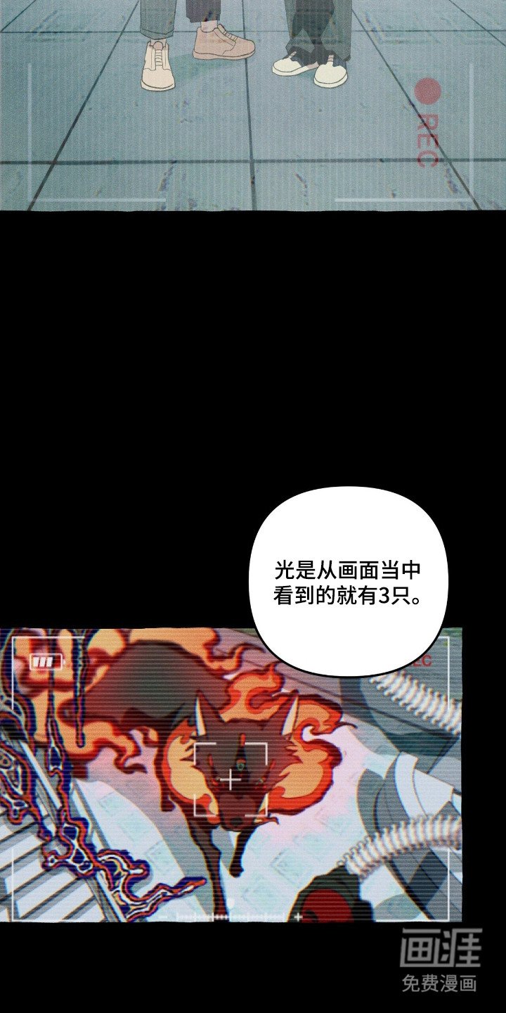第33章：追踪人类