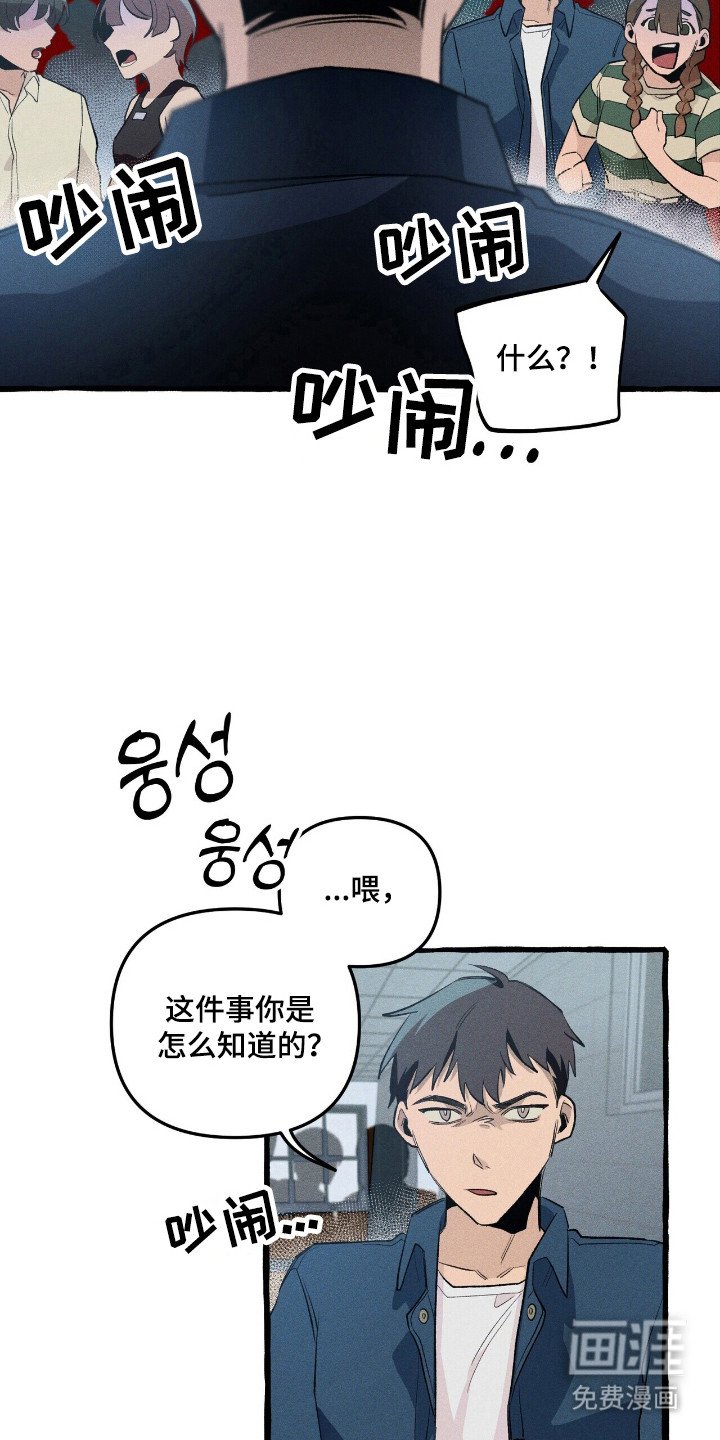 第36章：分开行动