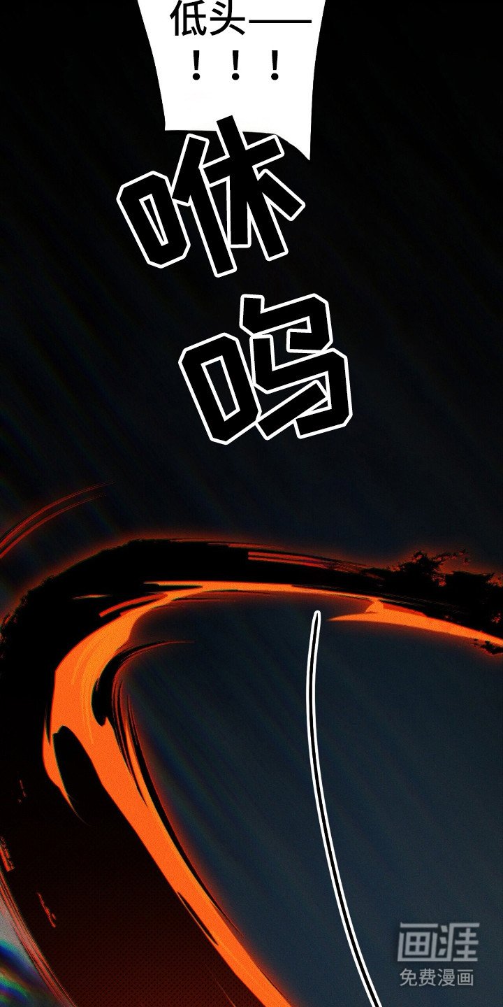 第41章：生物出现