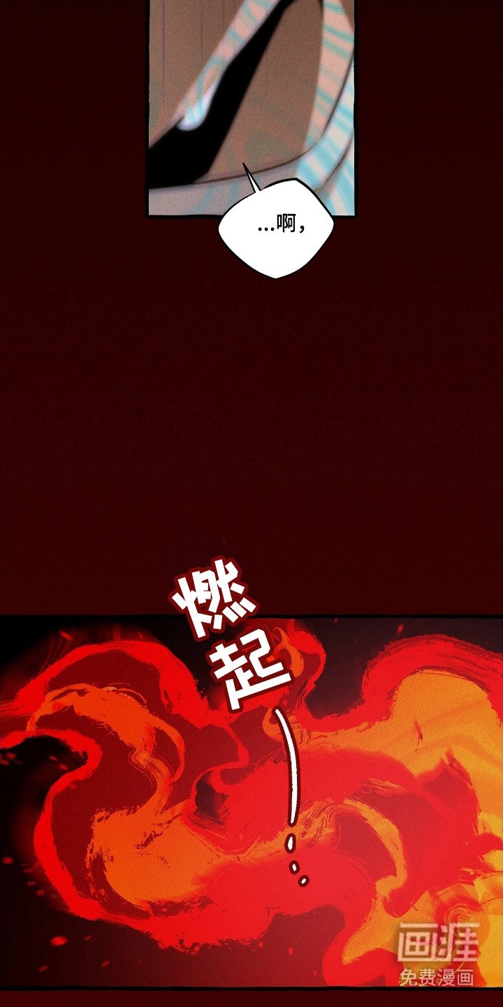 第41章：生物出现