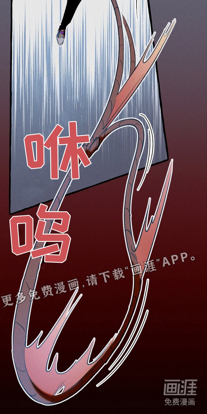 第45章：再次出击