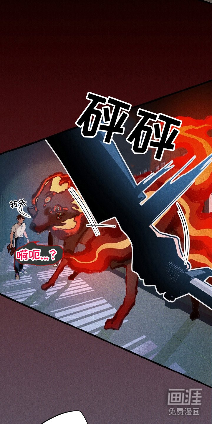 第45章：再次出击