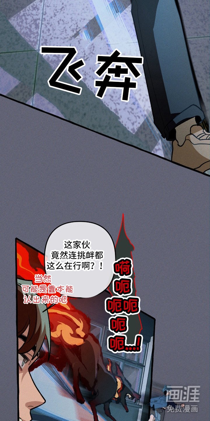 第45章：再次出击