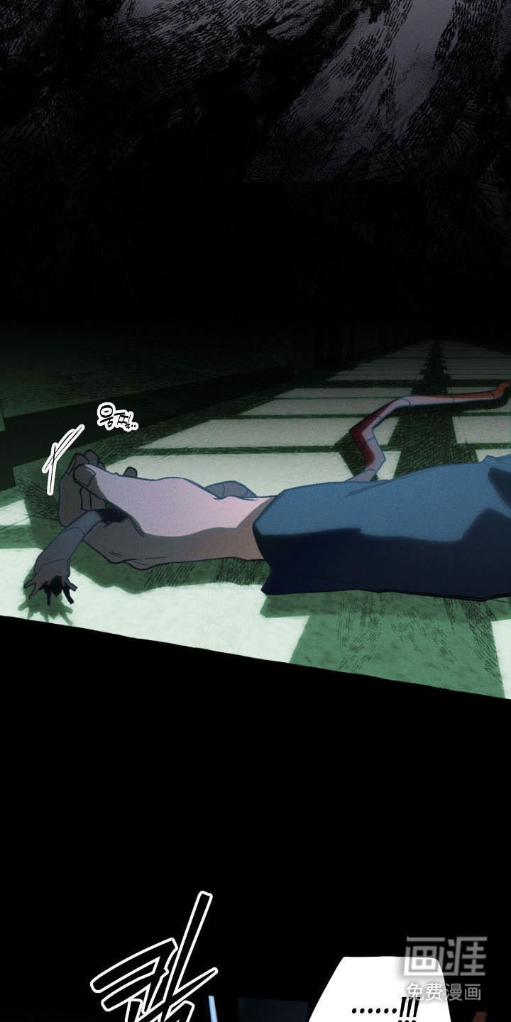 第50章：危险