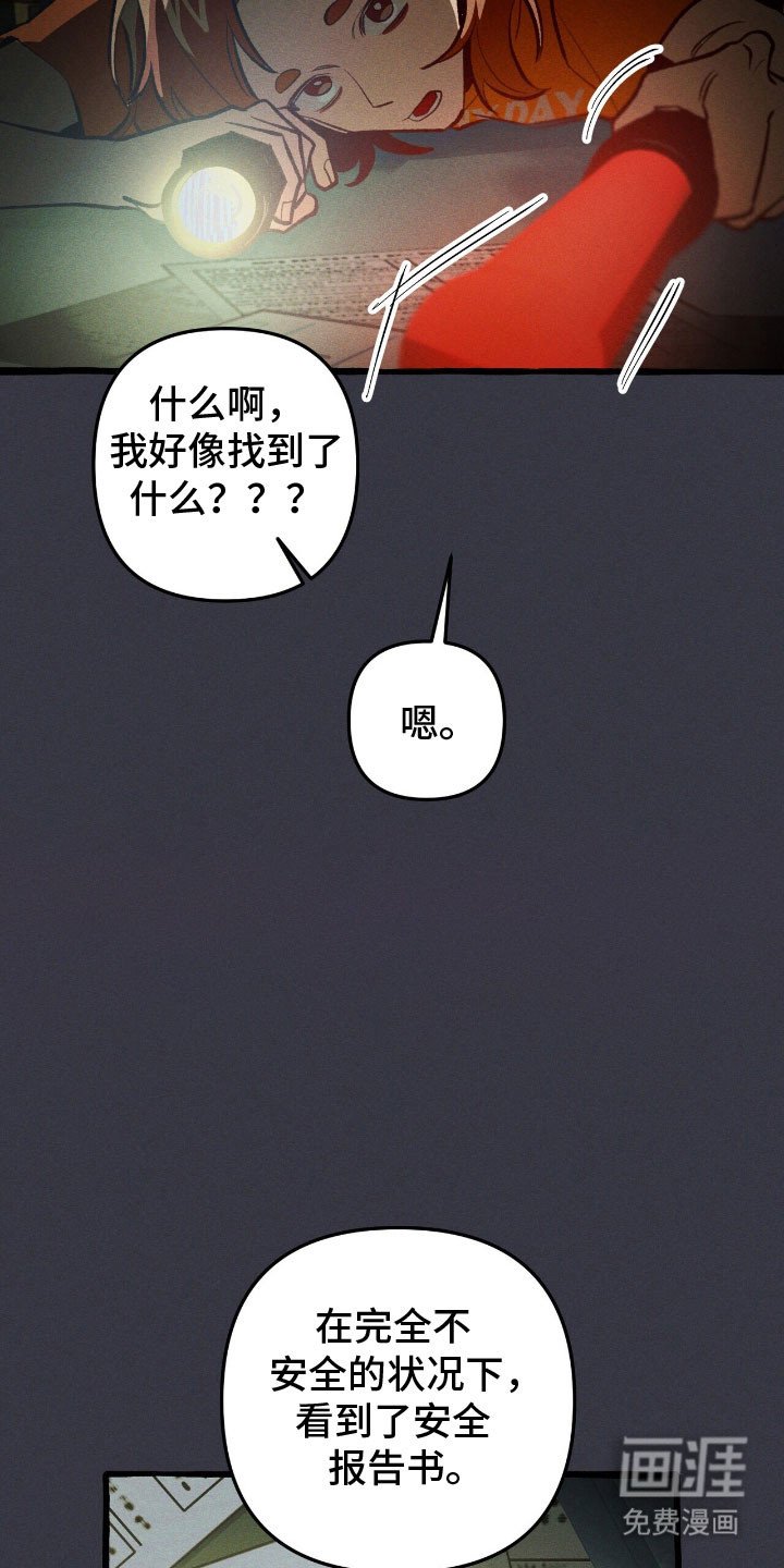 第58章：安全报告 
