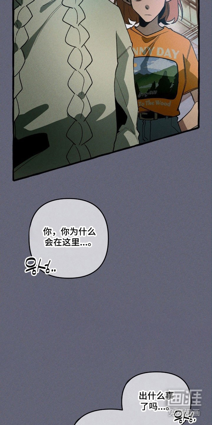 第62章：计划之中