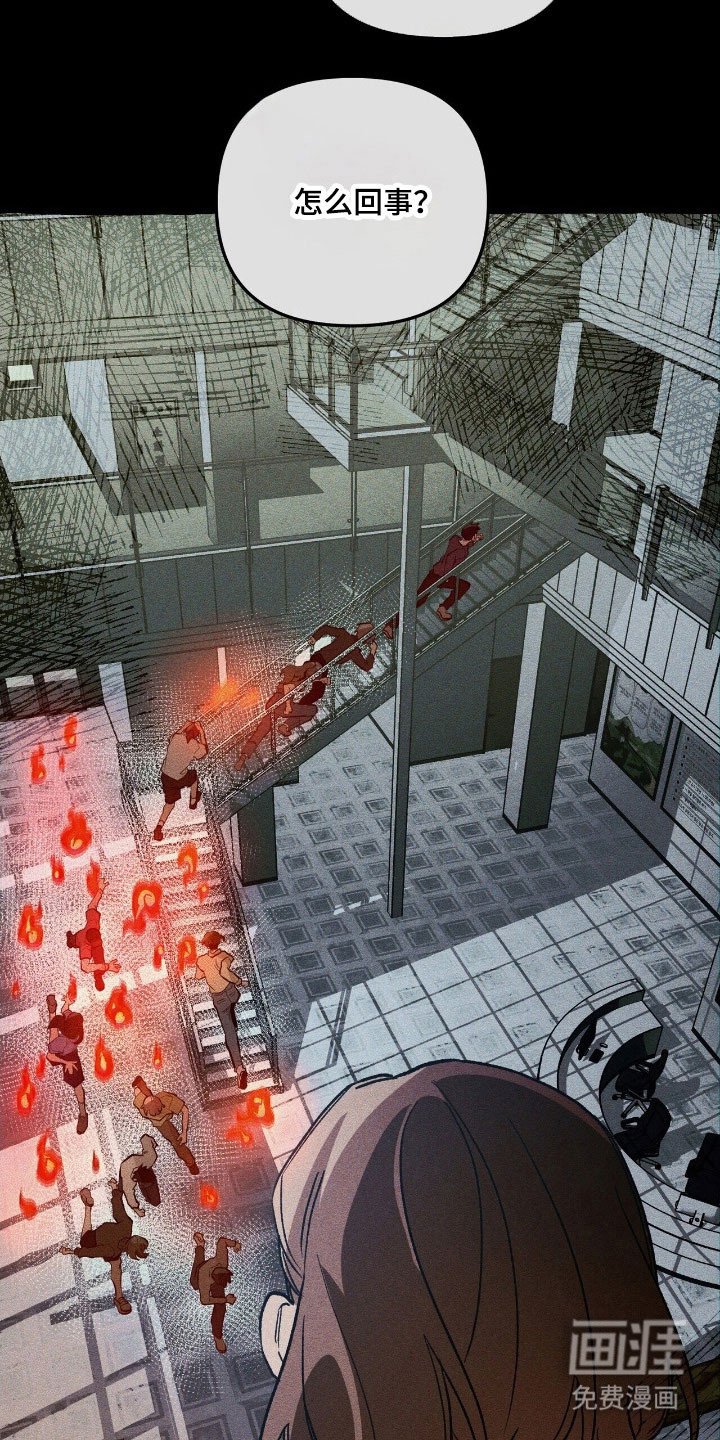 第62章：计划之中