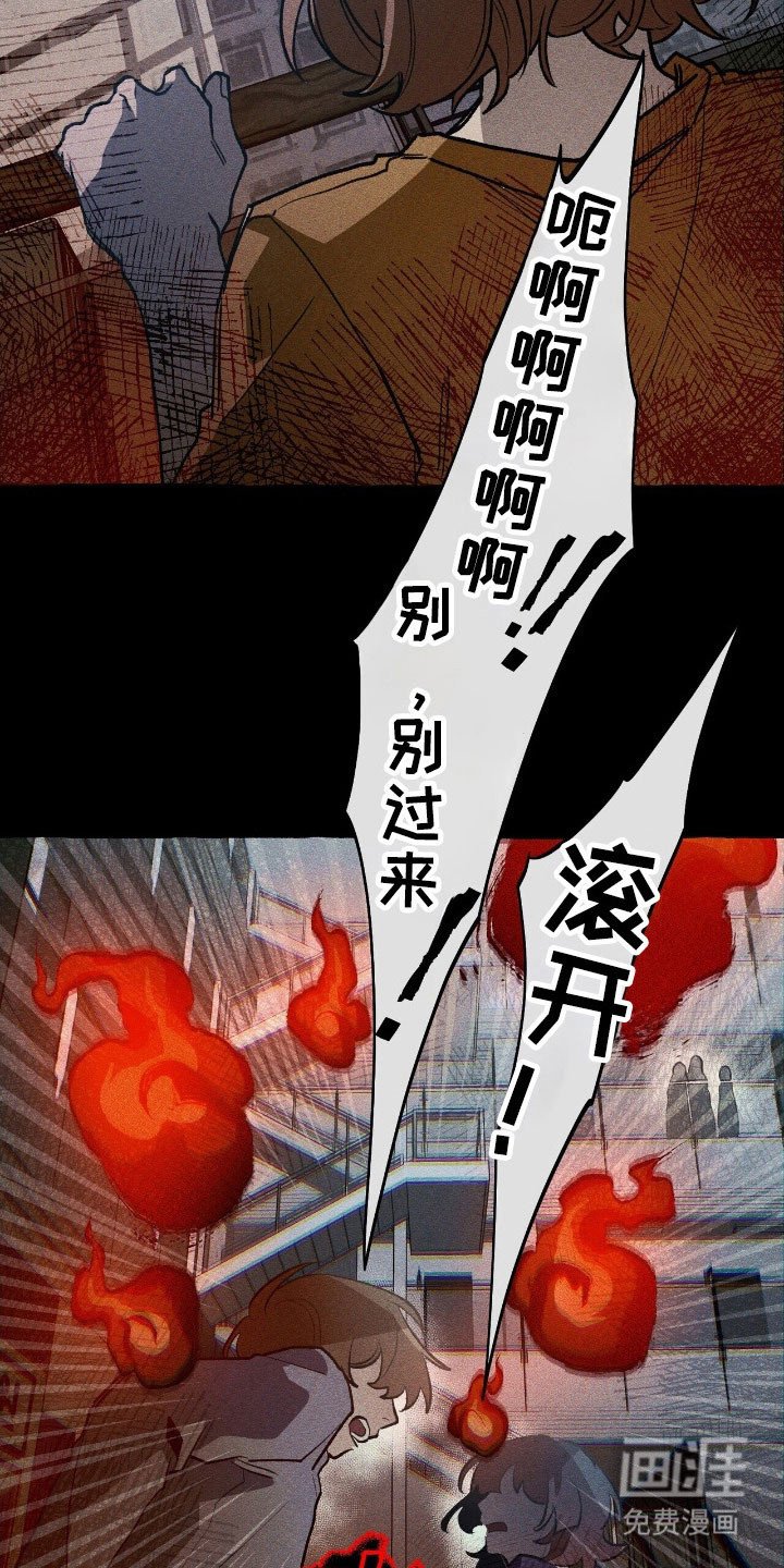第62章：计划之中