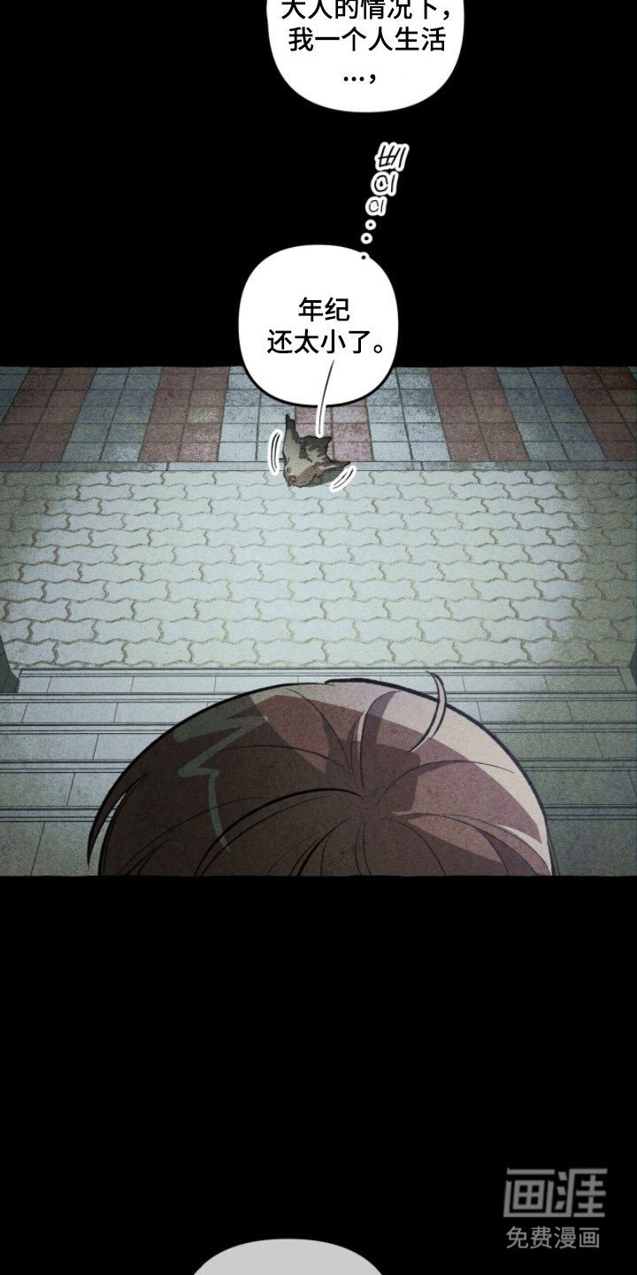第76章：背后故事