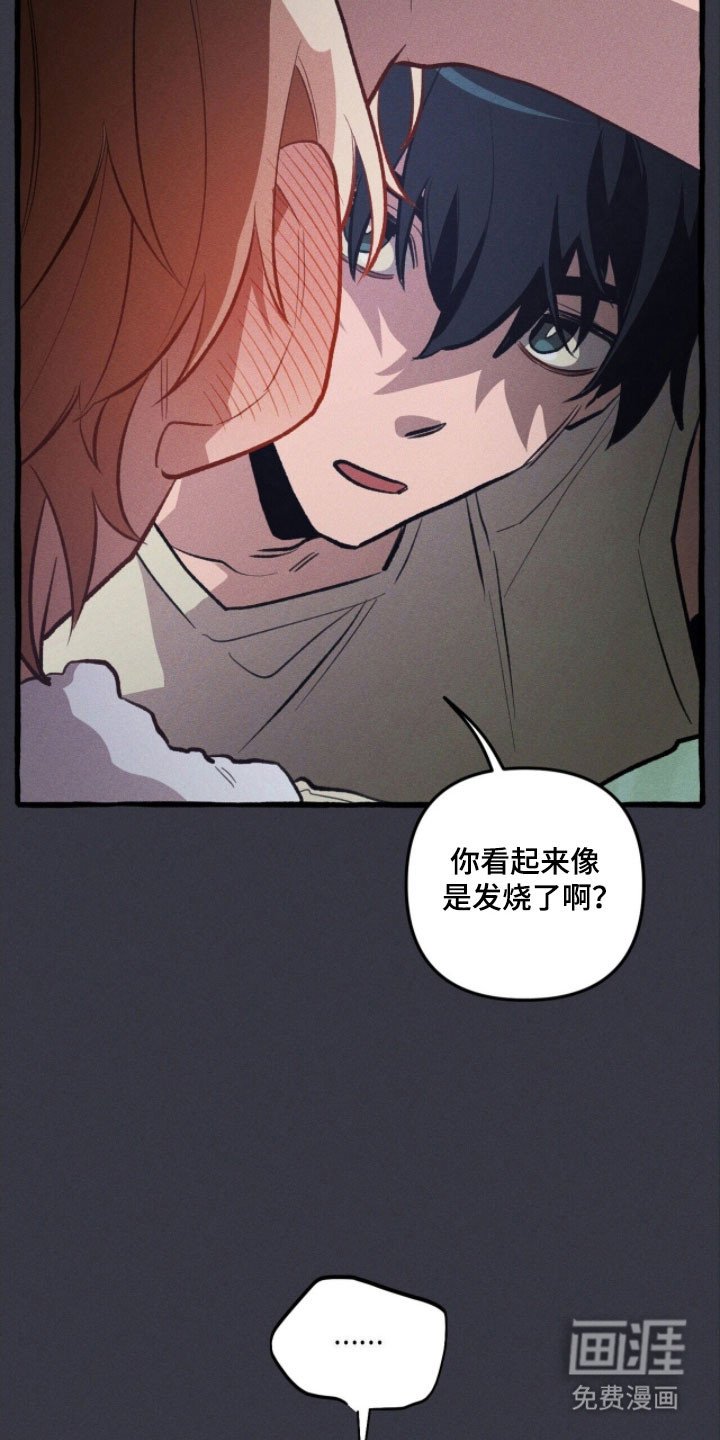 第79章：心动爆炸