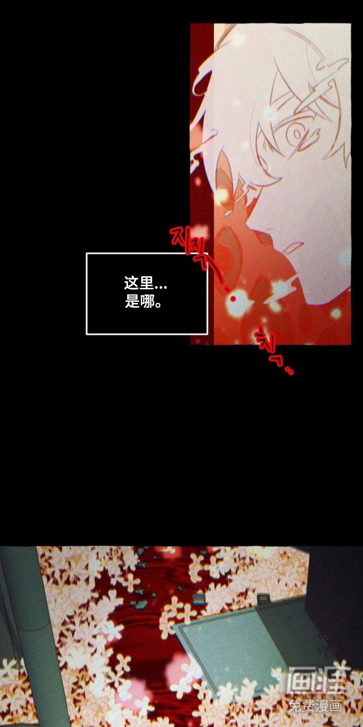 第81章：是谁抓紧我（第一季完结）