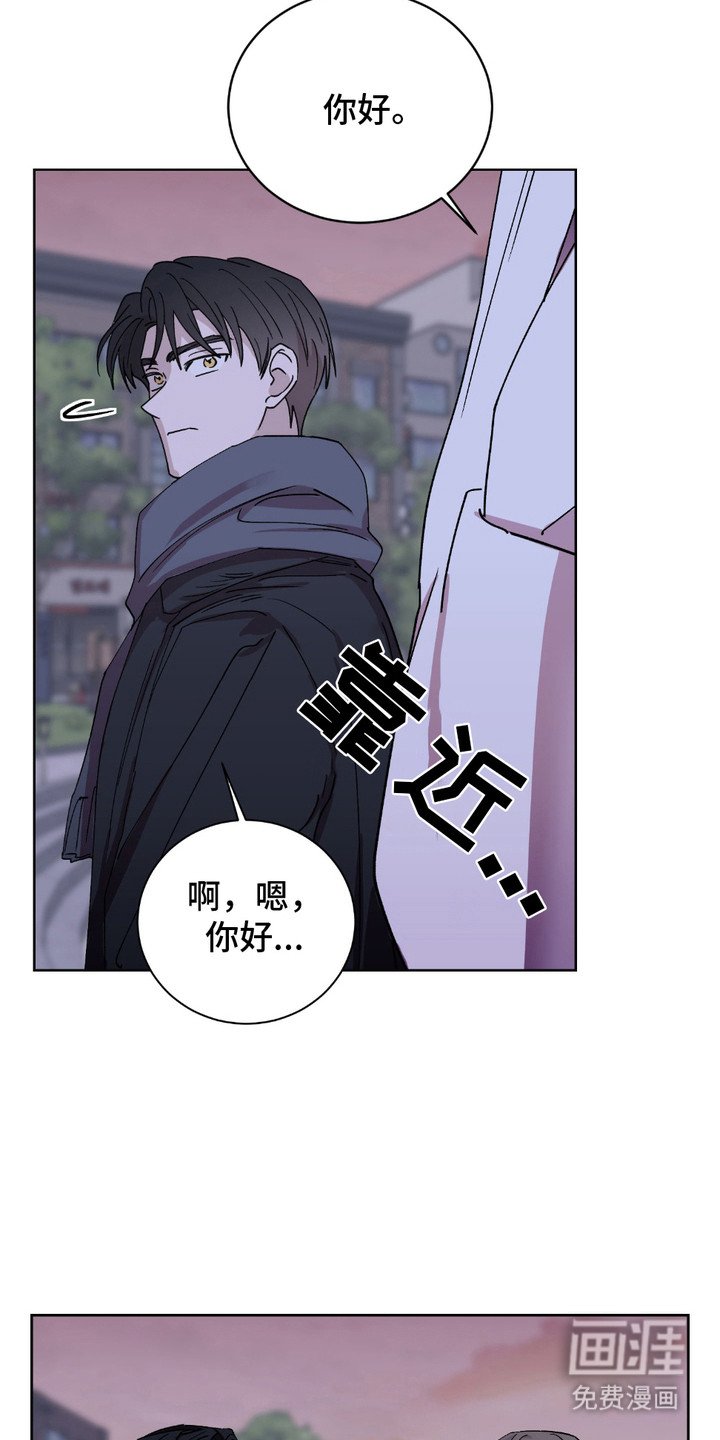第3章：约会软件