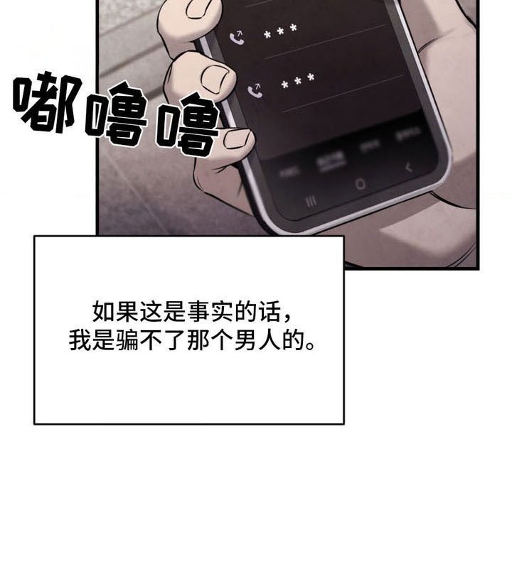 第13章：照片