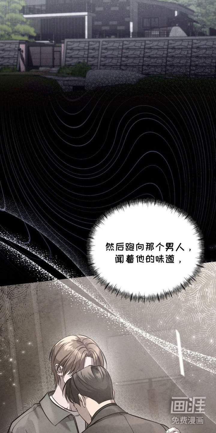 第16章：期待
