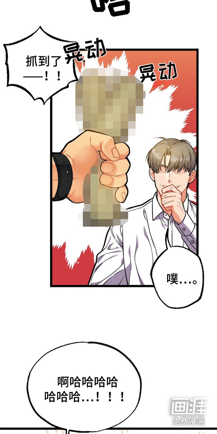 第12章：期待